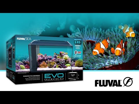 Slide 5 - Fluval SEA Evo 52L Aquarium Set (video)