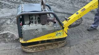Wacker Neuson DPU 4545He plancha vibratoria | Imagen 4 - Machineryline