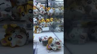 ってかトゥクトゥクって前ほど見なくなったね
