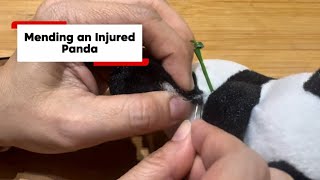 Mending an Injured Panda