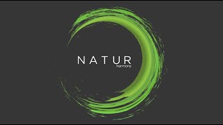 Natur Harmony - колекція декорів від Swisspan by SORBES