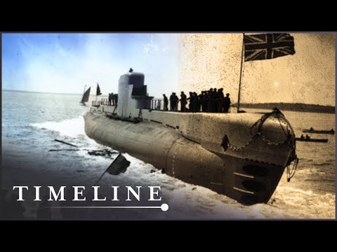 The Perseus Survivor