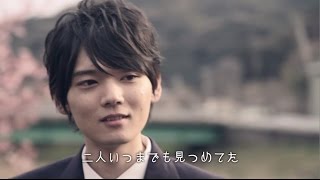 Crystal Kay - 「サクラ」【3/18=配信！3/23=CD発売！】