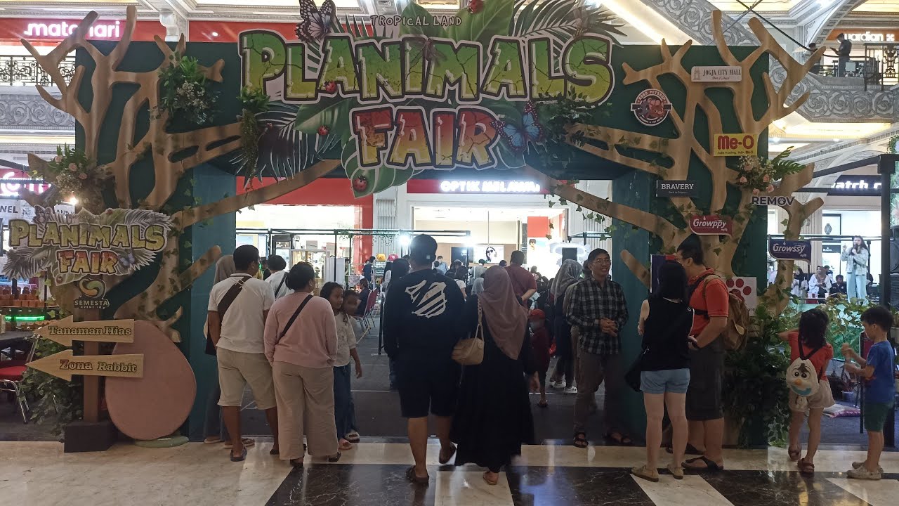 Planimals Fair Yogyakarta 2024 #animals #planimalsfair #yogyakarta #pets #plants #fyp