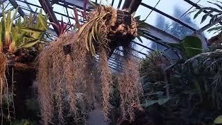 Download the video "Montreal Botanical Garden"