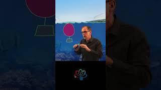 Tricky Question | Buoyant Force #universe #brainteaser #science #puzzle #buoyancy #physics