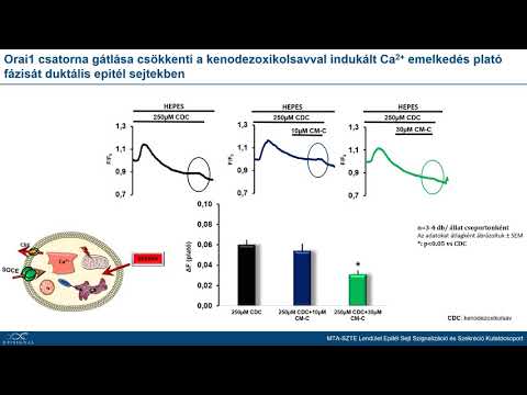 Bélférgesség tünetei és kezelése - HáziPatika Szüksége van e a gyermekek férgek megelőzésére