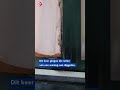 Wéér explosie in Den Haag | #shorts