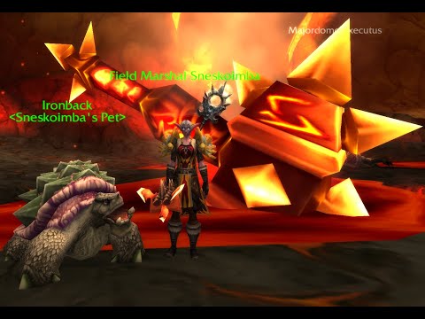 Molten Core Ragnaros solo Hunter 3.3.5
