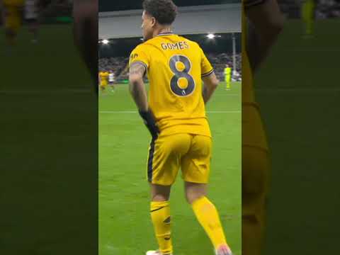 João Gomes, o pitbull dos Wolves #shorts