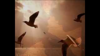 Antonello Venditti   Non ci sono anime