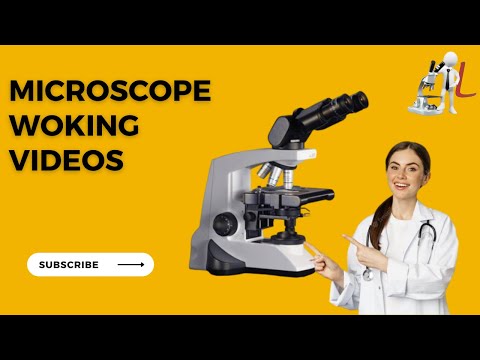 Laboratory Compound Binocular Microscope