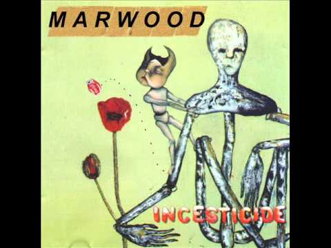 Nirvana - Aneurysm - Cover by Marwood
