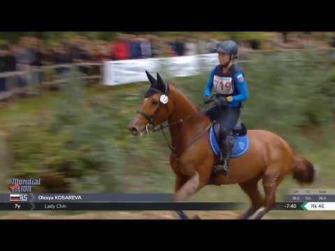 Mondial du Lion 2019 - Cross Country CCI3*-L 7 y.o. - Kosareva/Lady Chin