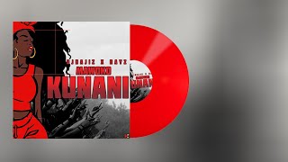 DJHajiz X Rayz - Mawoko Kunani (Official Audio Mus