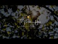 Heer Ranjha Status Heer Ranjha WhatsApp Status Rito Riba New Love Status RK Creation2 1