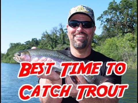 YouTube video about: When is the best time to fish for trout?