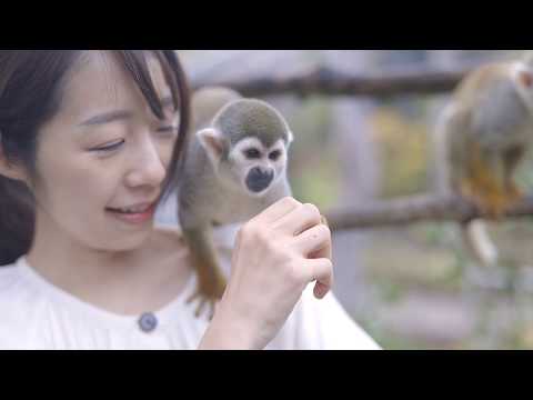 やまぐち映像図鑑 NO.061 ときわ動物園［宇部市］ | Tokiwa Zoo [ Ube-city ]
