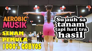 Download lagu Senam Aerobik Pemula Kekinian 2025 Lagu Super Viral bareng Fesya Sahara mp3
