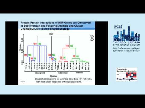 Protein-Protein Interactions of Stress-Response Genes are... - Gon Carmi - ISMB 2018 EvolCompGen