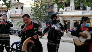 Video de Mariachi Nueva Luna
