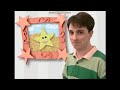 Blue S Clues Skidoo Season 1 Episode 5