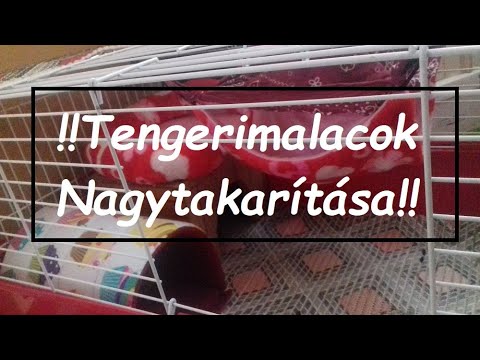 Dupla állcsökkentés - Rádiófrekvenciás kezelés a VIVO Klinikán