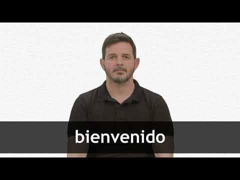 WHAT DOES BIENVENIDO MEAN IN ENGLISH intelligence overview