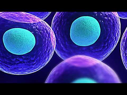 Hit the Books: A Weekly Review Course, BIOL 200 and PHGY209, McGill