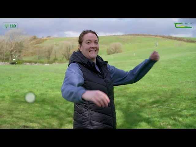 Beef and Sheep Farmer