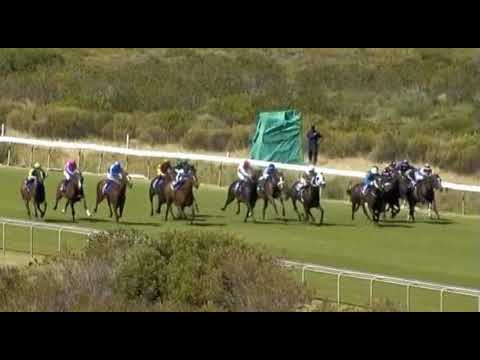 RUN FOX RUN - 2021 Cape Flying Championship (Gr1)