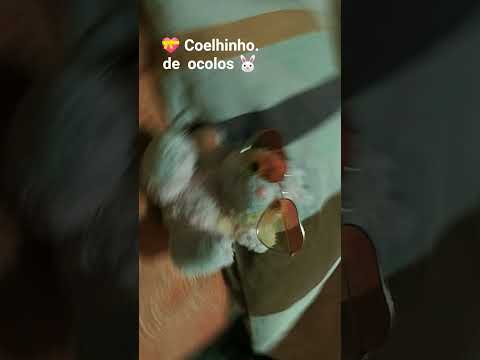 10 de setembro de 2025