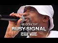Busy Signal Live Reggae Woods Festival Rotterdam The Netherlands 2024