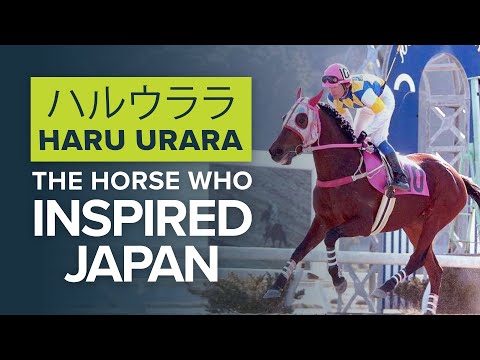 ハルウララ: JAPANESE RACEHORSE INSPIRES A NATION | HARU URARA