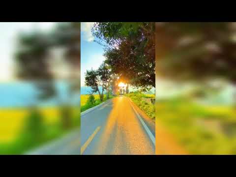 Relaxing Nature |Beautiful View of Nature