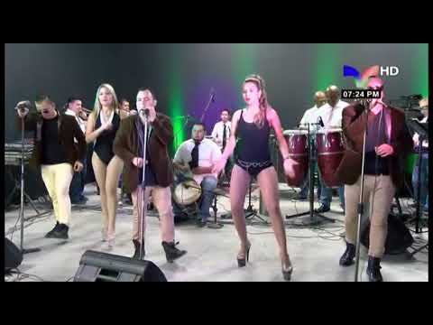 Los profesionales    Natalio