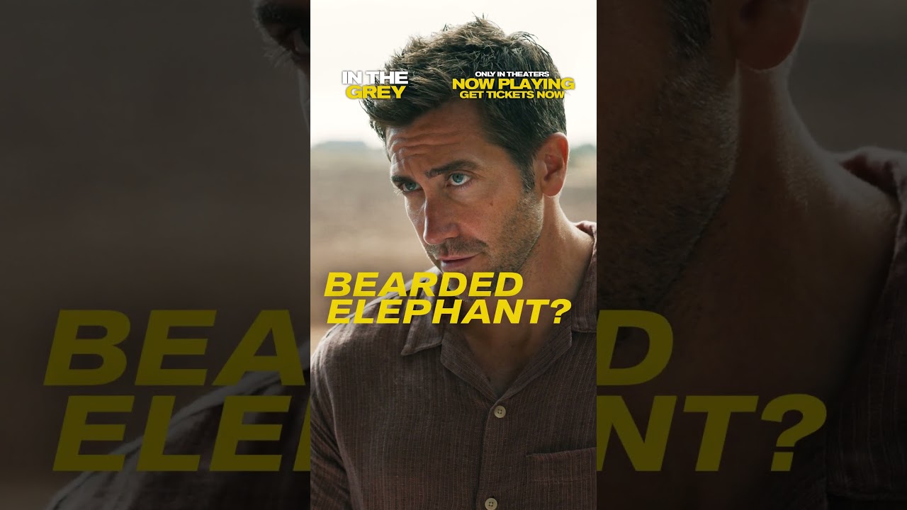 In the Grey trailer