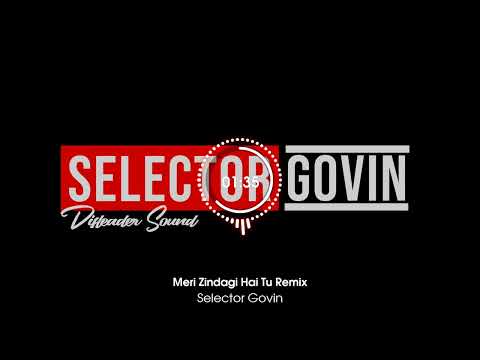 Meri Zindagi Hai Tu Remix | Selector Govin