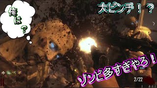 [COD] bo2  ゾンビ多すぎてまさかのゲームオーバー？