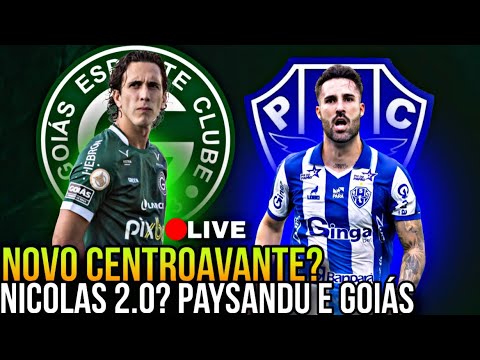 💚😱 NOVO NICOLAS NO GOIÁS PARA A SÉRIE B? GOLEADOR DO PAYSANDU É A BOLA DA VEZ NOS ESTADUAIS!