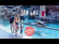 SEA LIFE Sunshine Coast Mooloolaba