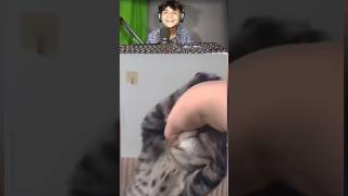 Download lagu kucing kesurupan jin ipritt🗿🗿#memekocak#cat#kucing #lucu#tiktok #reactionngakak #douyin #funny#viral mp3