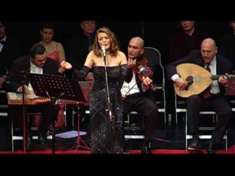 Ayrilik Ümitlerin Ötesinde Bir Sehir,Sinem Sekerer Berlin