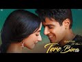 Tere Bina : Ustad Rahat Fateh Ali Khan Full Song GURI | Lover Movie in Cinemas Now | Geet MP3720p
