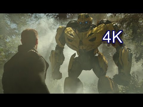 Bumblebee Arrives to Earth