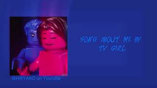 Cover art for Song About Me