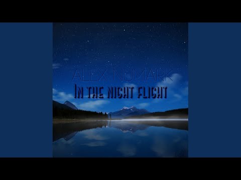 In The Night Flight (Original Mix)