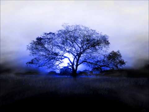 EL GUERRERO DE LA LUZ 5ª