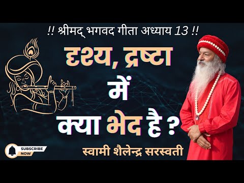 दृश्य, द्रष्टा में क्या  भेद है ?