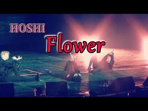 190308 "Flower" 세븐틴 팬미팅 캐럿랜드 Day1 유닛리버스 무대 세븐틴 SEVENTEEN 호시 직캠 HOSHI FOCUS